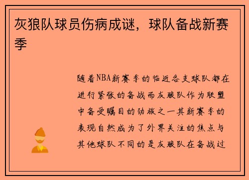 灰狼队球员伤病成谜，球队备战新赛季